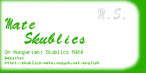 mate skublics business card
